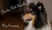 Pooches with Panache Dog Grooming