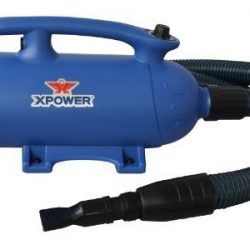 XPOWER 6 HP X-Treme Double Motor Force Dryer B27